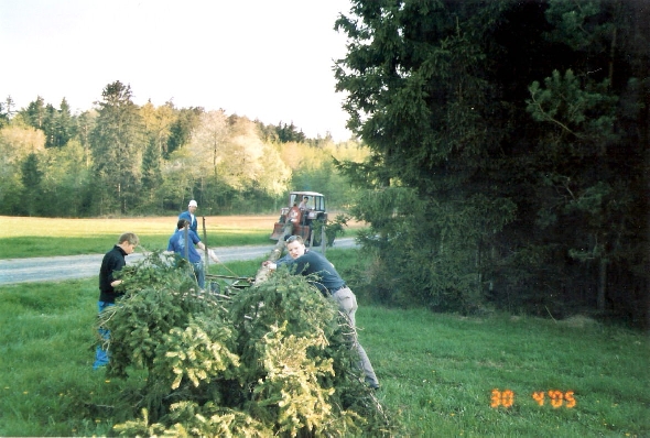 http://www.jormannsdorf.at/ff/bildergalerie/cache/vs_2005%20Maibaum_Scannen0002.jpg