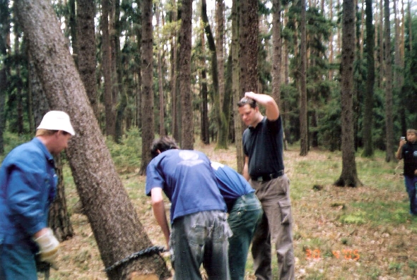 http://www.jormannsdorf.at/ff/bildergalerie/cache/vs_2005%20Maibaum_Scannen0007.jpg