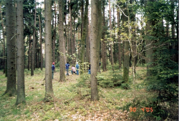 http://www.jormannsdorf.at/ff/bildergalerie/cache/vs_2005%20Maibaum_Scannen0008.jpg