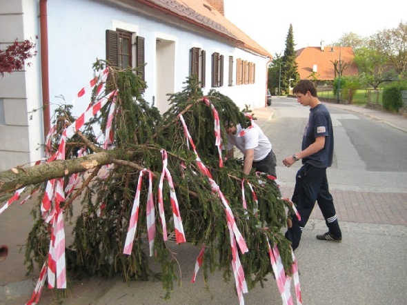 http://www.jormannsdorf.at/ff/bildergalerie/cache/vs_2009_04_25%20Maibaum_FF%20263.jpg