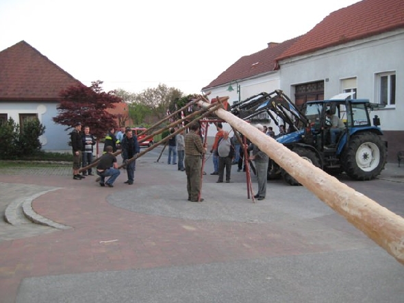 http://www.jormannsdorf.at/ff/bildergalerie/cache/vs_2009_04_25%20Maibaum_FF%20280.jpg