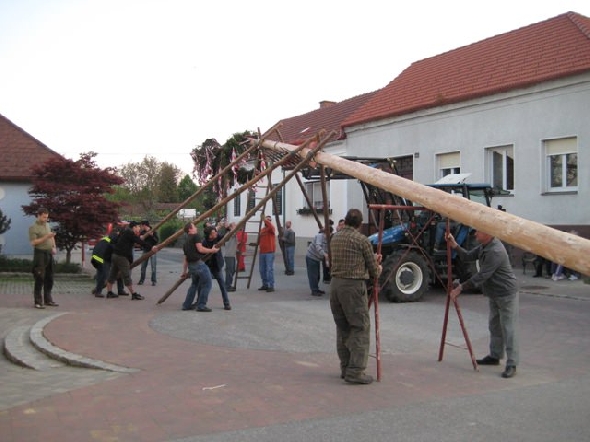 http://www.jormannsdorf.at/ff/bildergalerie/cache/vs_2009_04_25%20Maibaum_FF%20281.jpg