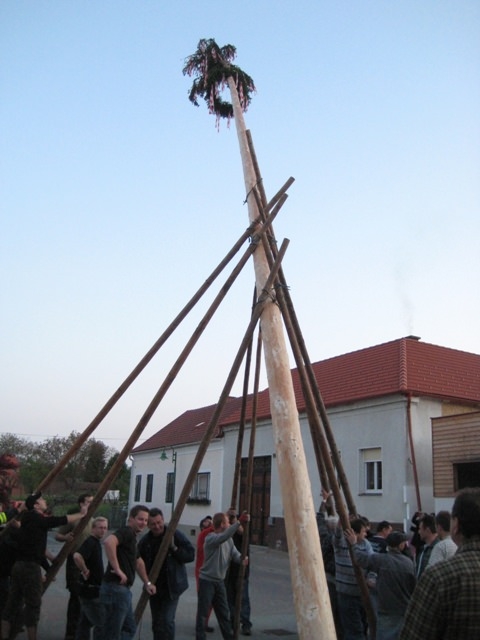 http://www.jormannsdorf.at/ff/bildergalerie/cache/vs_2009_04_25%20Maibaum_FF%20303.jpg